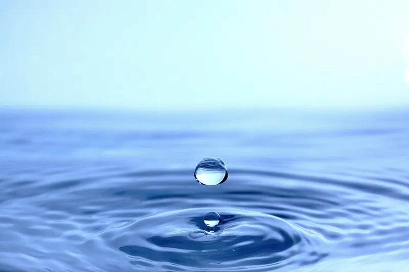 ウォーターサーバーの水はペットにも安心して使える?